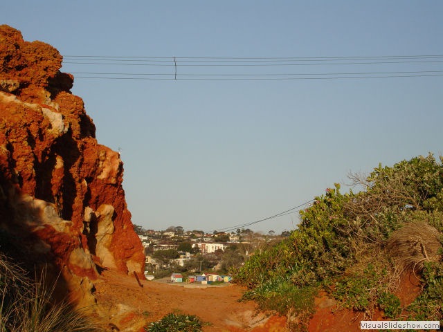 dsc419