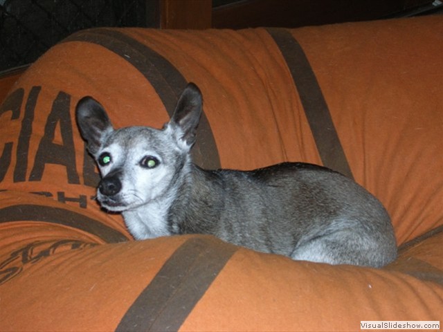 DSCN0379