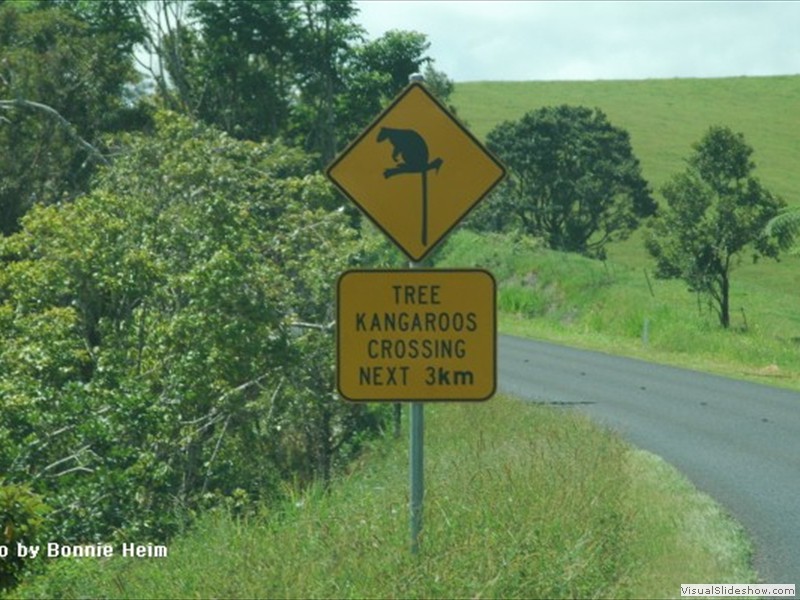 image003