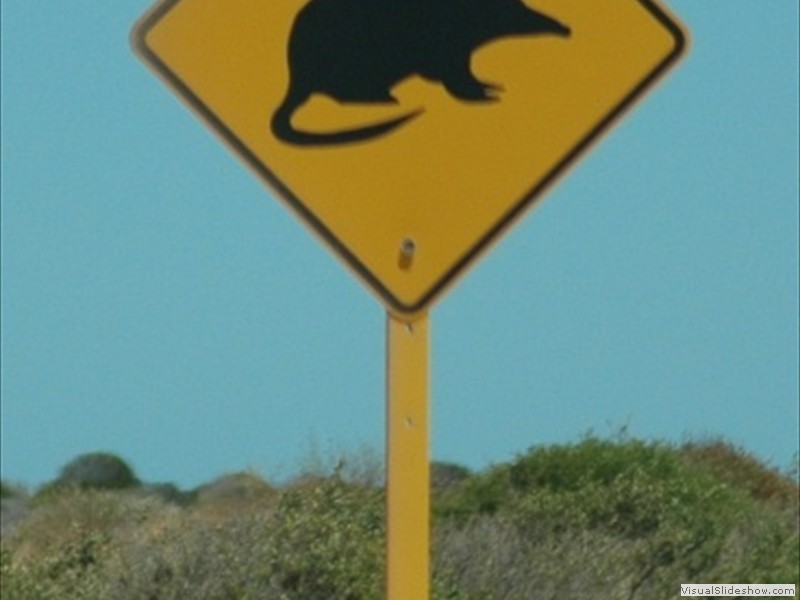 image005
