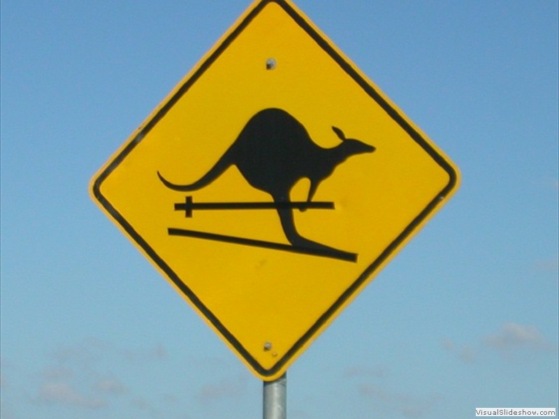 image009