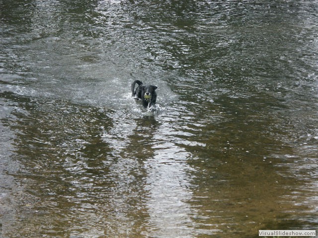 pict0017