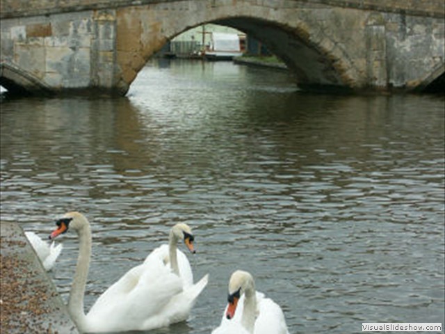 pict0023