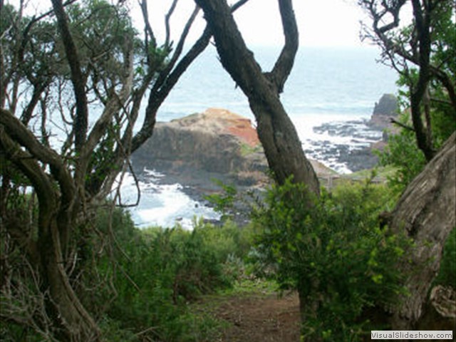 PICT0041