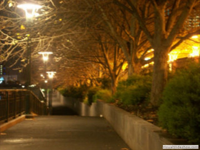 PICT0043