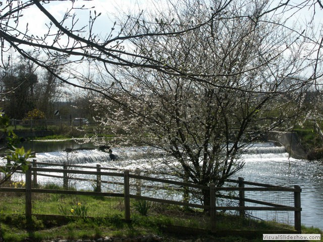 pict0077